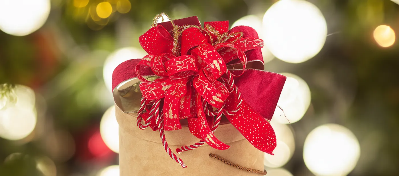 Ispirazioni Nastri Natale 7 Ispirazioni Nastri Natale 7