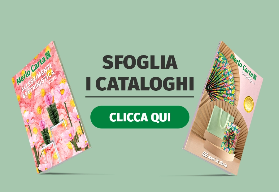 Catalogo Everyday 2025