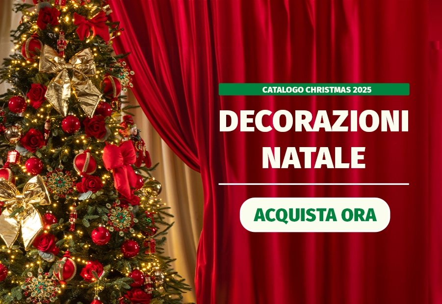 Decorazioni Natalizie