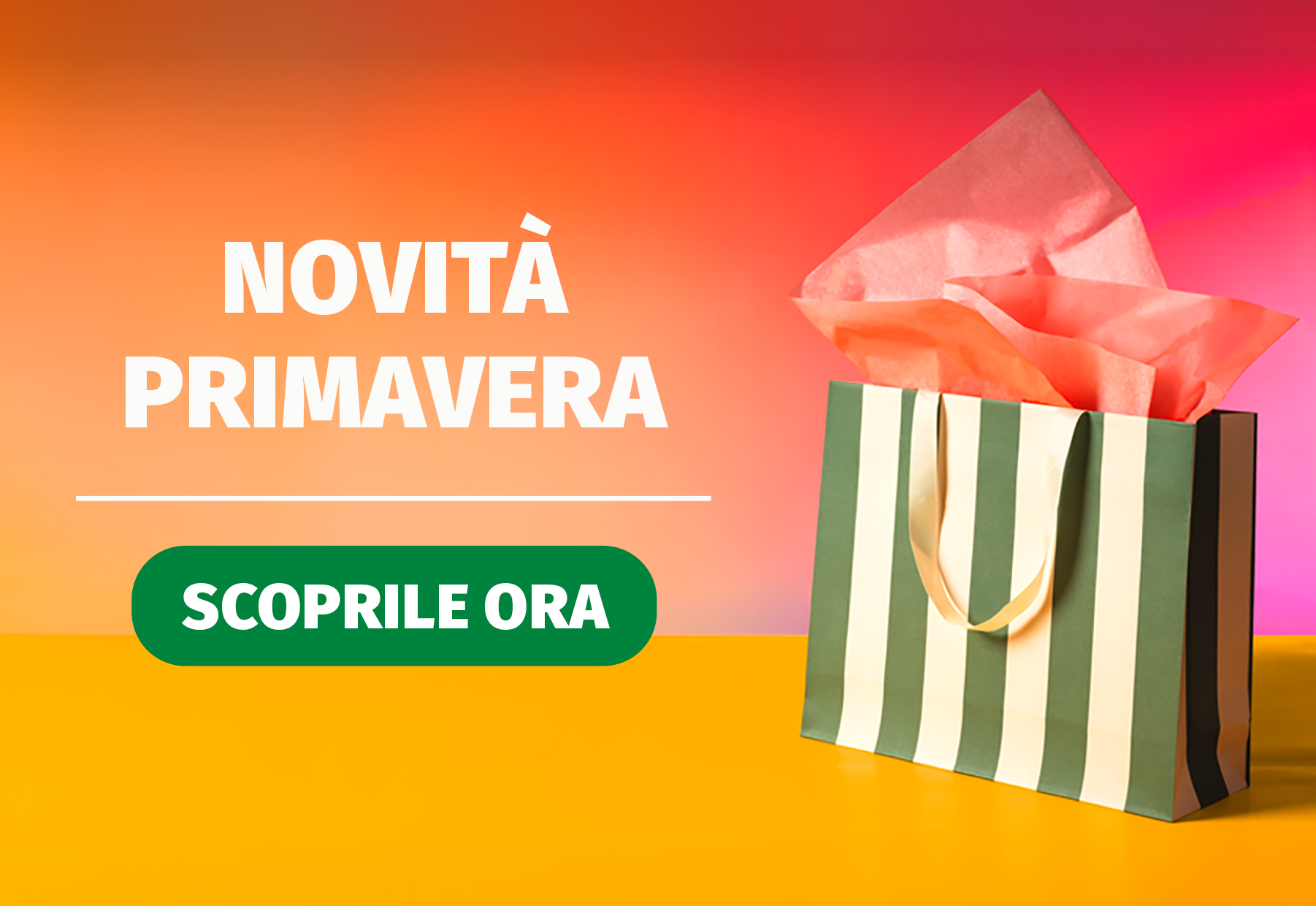 Novità Everyday 2026