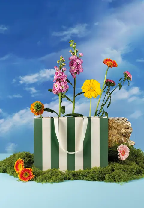 Shopper Carta Stripes Verde con Maniglia in Grosgrain